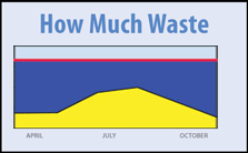 How Much Waste